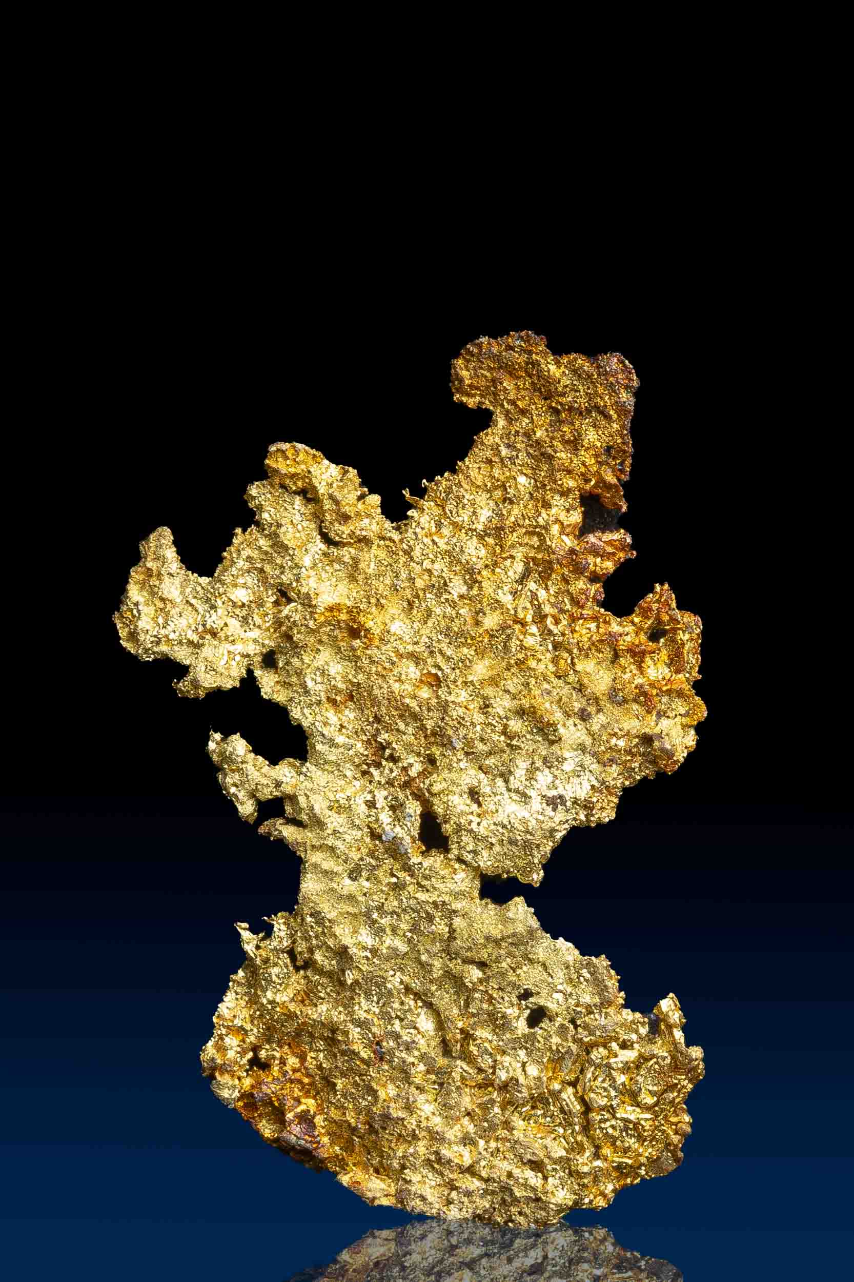 (image for) Magnificent Crystallized Gold Specimen from Farncomb Hill, CO
